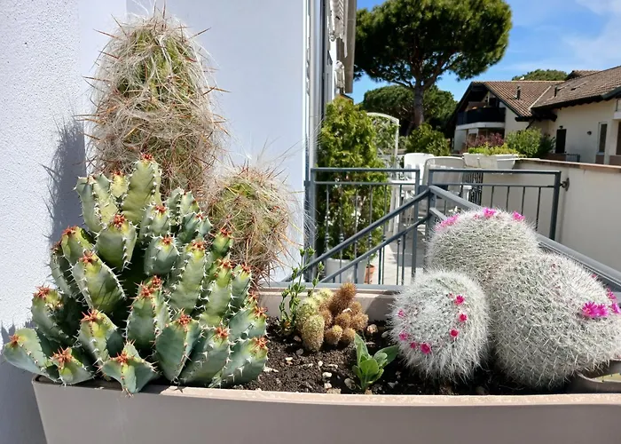 Cv002 - Cervia, Nuovo Bilocale Con Ampia Terrazza E Posto Auto Cervia